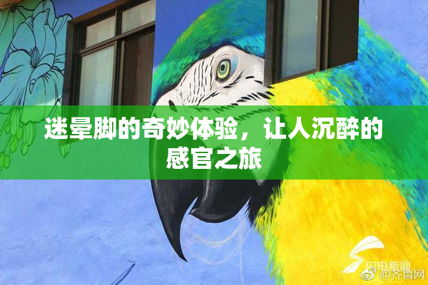 迷晕脚的奇妙体验，让人沉醉的感官之旅