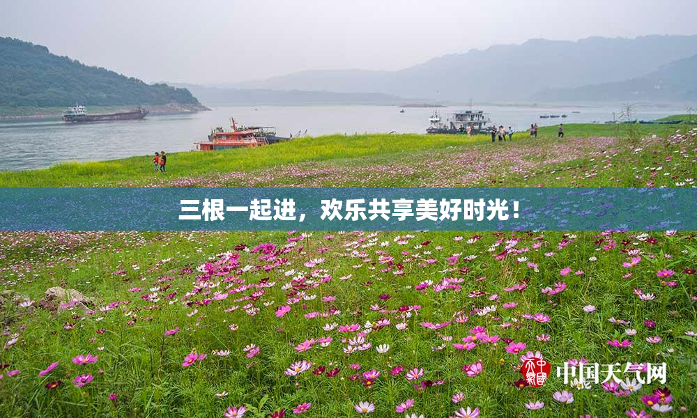 三根一起进，欢乐共享美好时光！