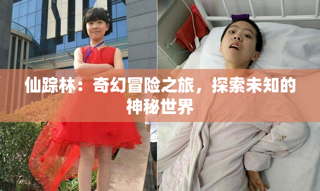 仙踪林：奇幻冒险之旅，探索未知的神秘世界
