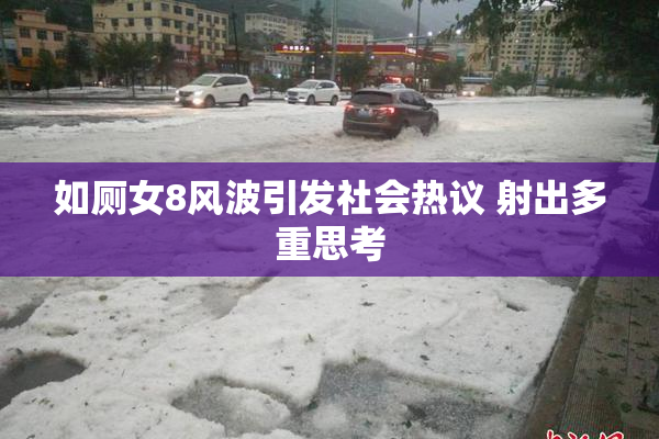 如厕女8风波引发社会热议 射出多重思考