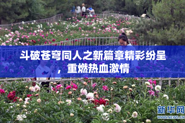 斗破苍穹同人之新篇章精彩纷呈，重燃热血激情