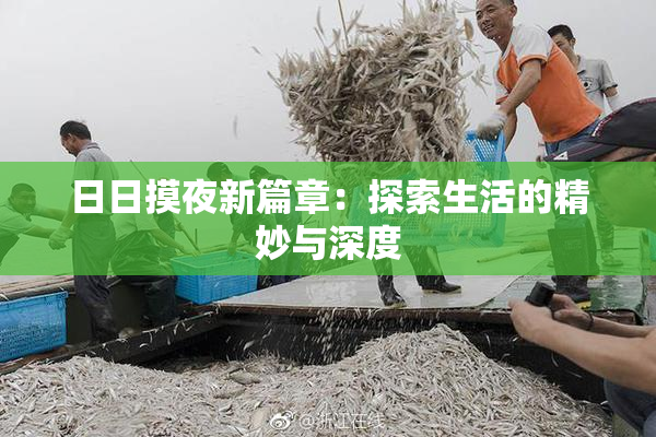 日日摸夜新篇章：探索生活的精妙与深度