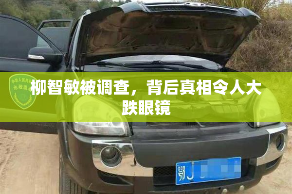 柳智敏被调查，背后真相令人大跌眼镜