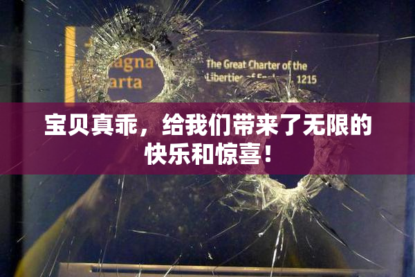 宝贝真乖，给我们带来了无限的快乐和惊喜！