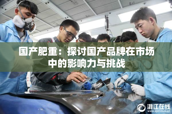 国产肥重：探讨国产品牌在市场中的影响力与挑战