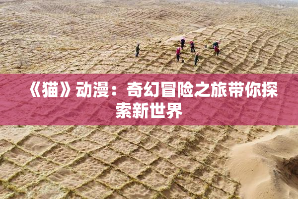 《猫》动漫：奇幻冒险之旅带你探索新世界