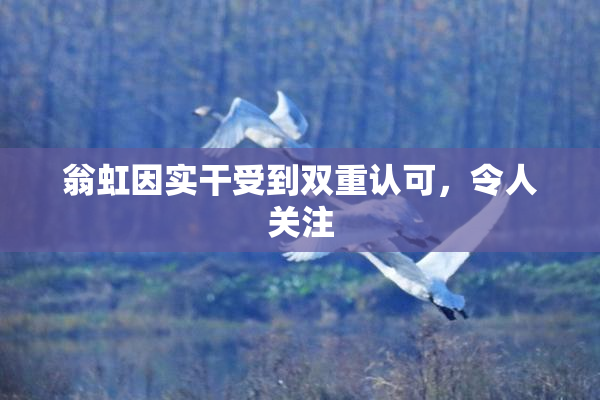 翁虹因实干受到双重认可，令人关注