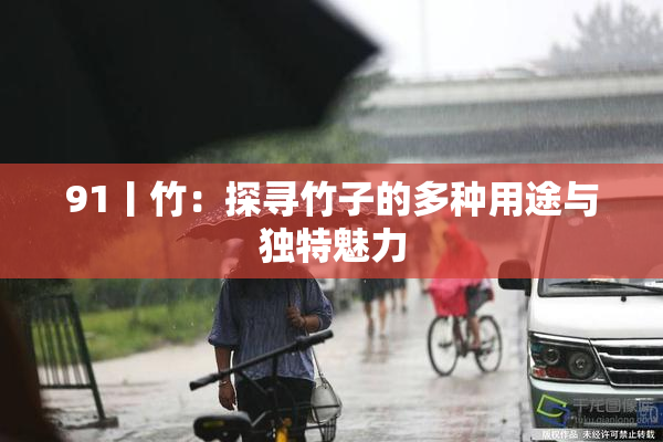 91丨竹：探寻竹子的多种用途与独特魅力