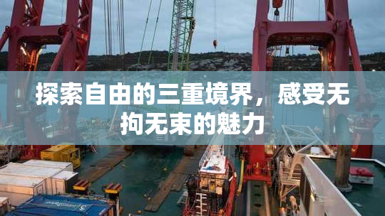 探索自由的三重境界，感受无拘无束的魅力