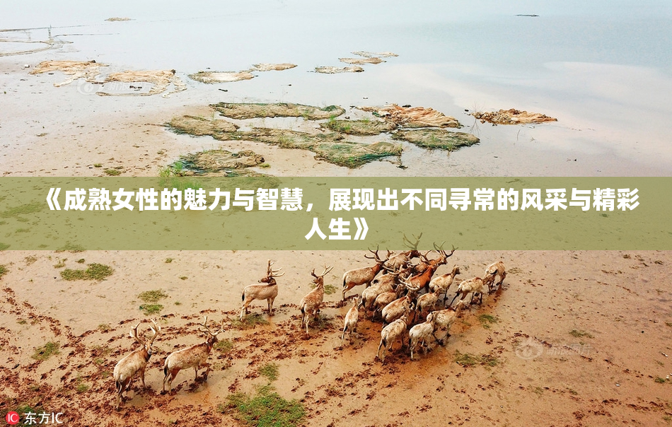 《成熟女性的魅力与智慧，展现出不同寻常的风采与精彩人生》