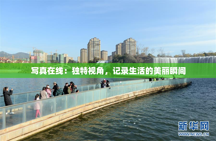 写真在线：独特视角，记录生活的美丽瞬间