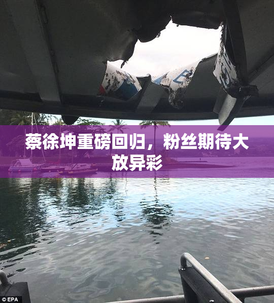 蔡徐坤重磅回归，粉丝期待大放异彩