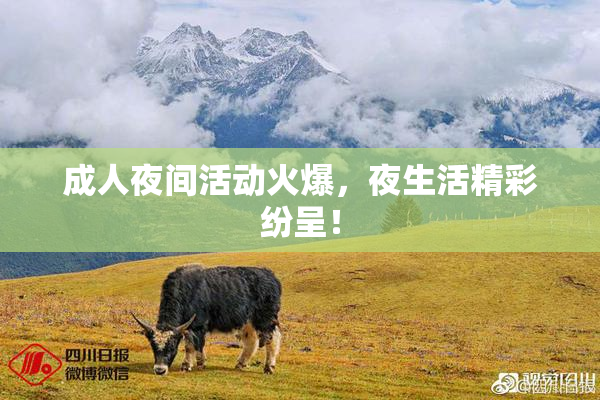 成人夜间活动火爆，夜生活精彩纷呈！