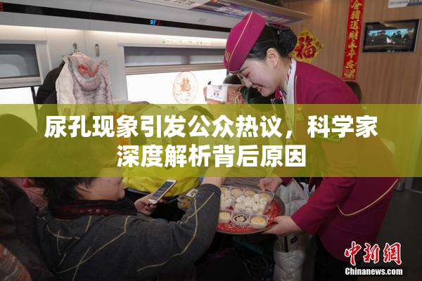 尿孔现象引发公众热议，科学家深度解析背后原因