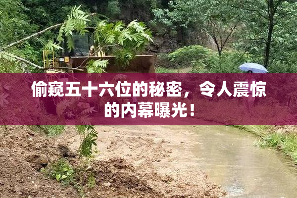 偷窥五十六位的秘密，令人震惊的内幕曝光！