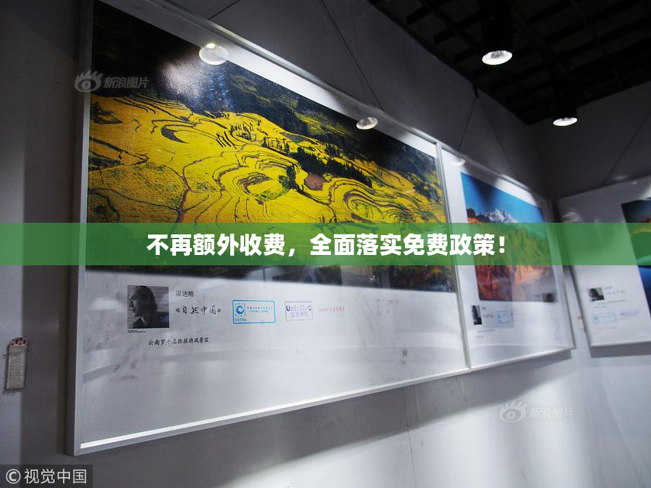 不再额外收费，全面落实免费政策！