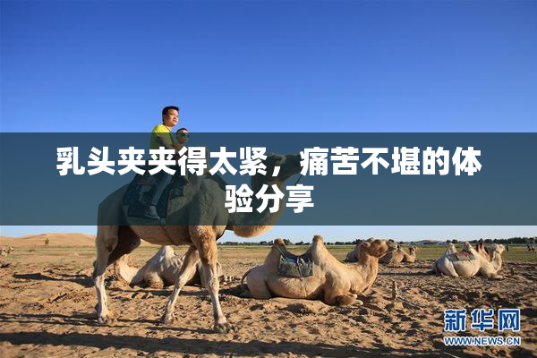 乳头夹夹得太紧，痛苦不堪的体验分享