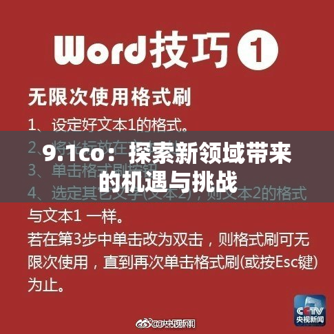 9.1co：探索新领域带来的机遇与挑战