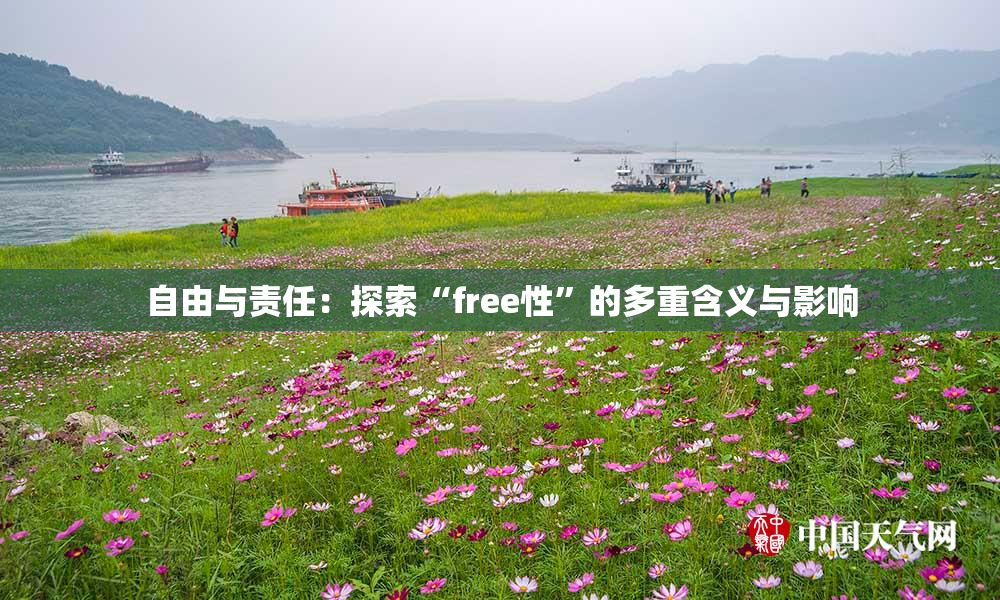 自由与责任：探索“free性”的多重含义与影响