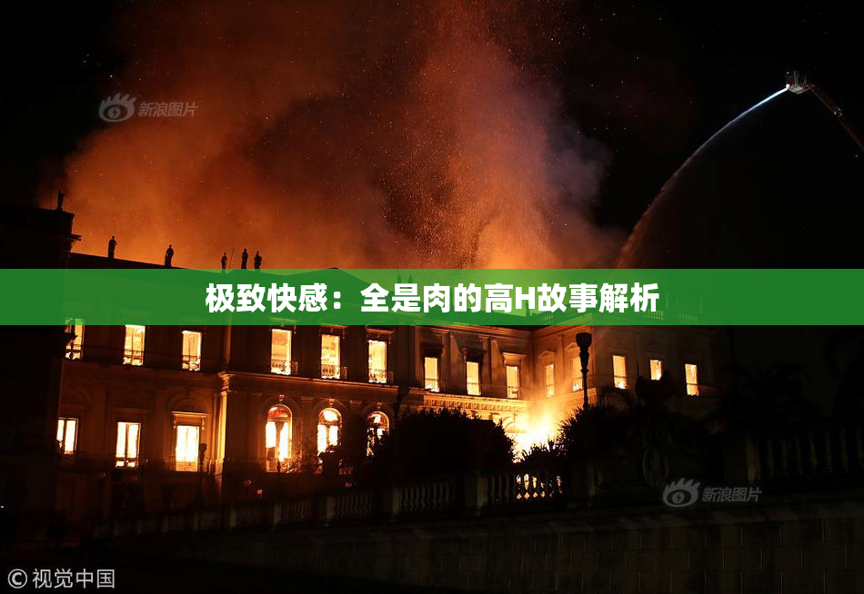 极致快感：全是肉的高H故事解析