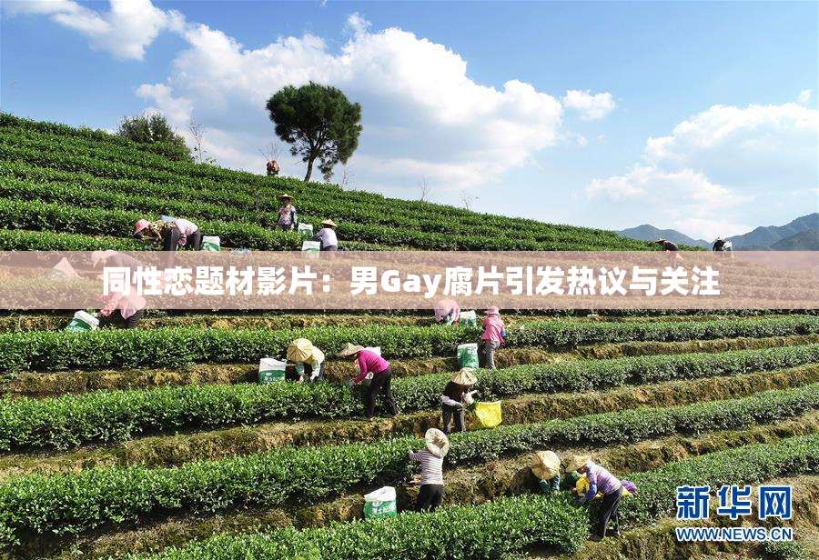 同性恋题材影片：男Gay腐片引发热议与关注