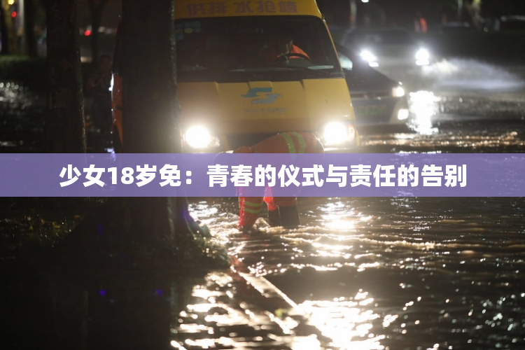 少女18岁免：青春的仪式与责任的告别