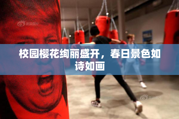 校园樱花绚丽盛开，春日景色如诗如画