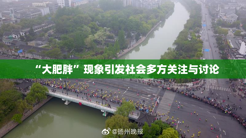 “大肥胖”现象引发社会多方关注与讨论