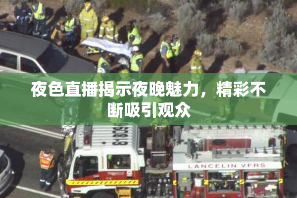 夜色直播揭示夜晚魅力，精彩不断吸引观众