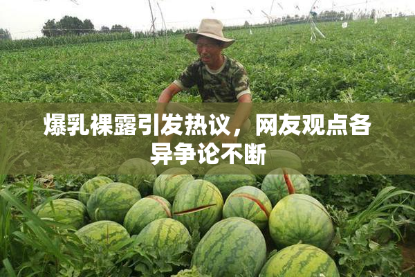 爆乳裸露引发热议，网友观点各异争论不断