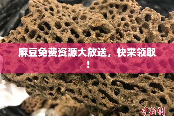 麻豆免费资源大放送，快来领取！