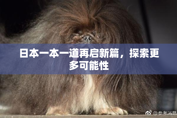 日本一本一道再启新篇，探索更多可能性