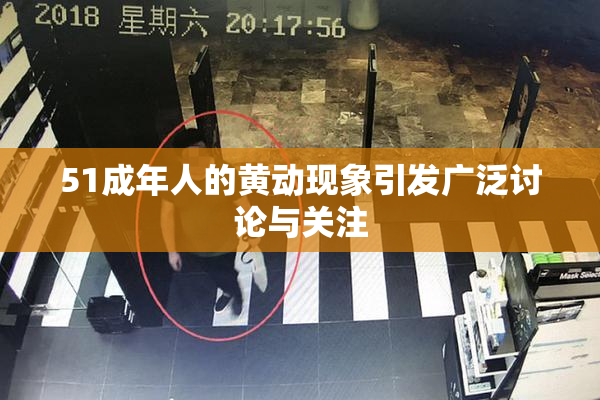 51成年人的黄动现象引发广泛讨论与关注