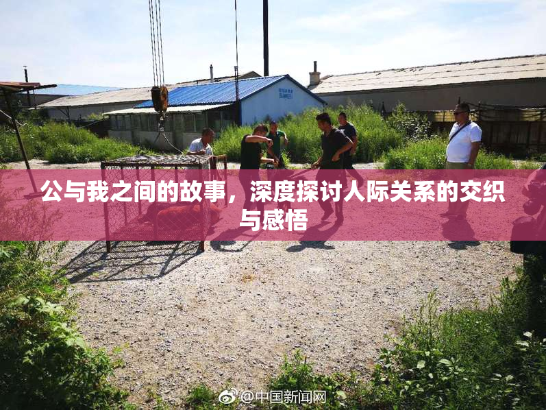 公与我之间的故事，深度探讨人际关系的交织与感悟