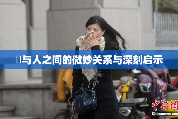 嘼与人之间的微妙关系与深刻启示