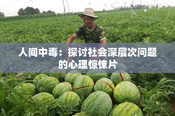 人间中毒：探讨社会深层次问题的心理惊悚片
