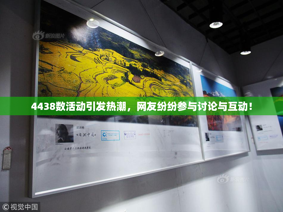 4438数活动引发热潮，网友纷纷参与讨论与互动！