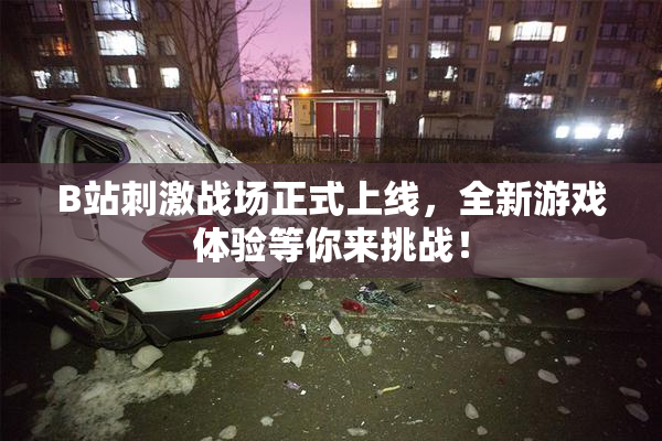 B站刺激战场正式上线，全新游戏体验等你来挑战！