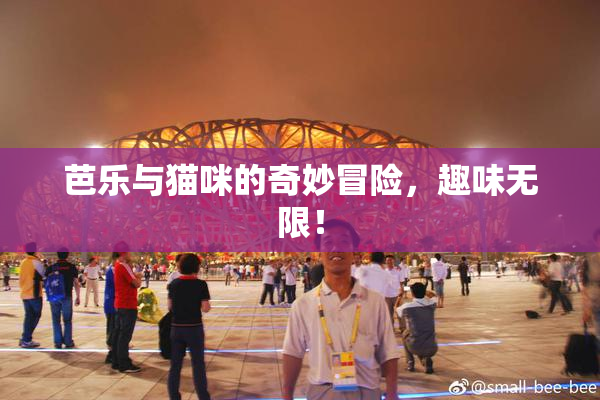 芭乐与猫咪的奇妙冒险，趣味无限！