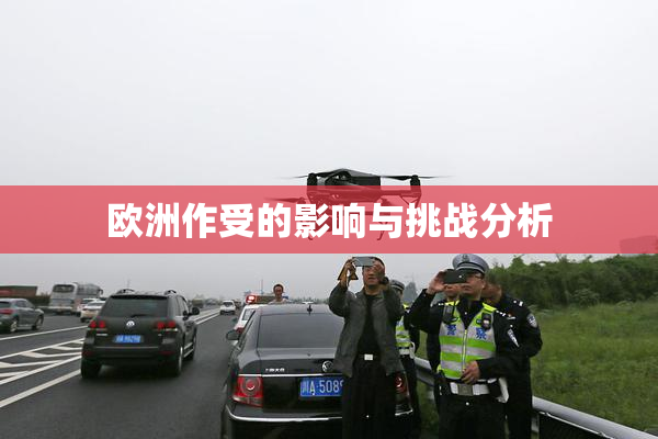 欧洲作受的影响与挑战分析