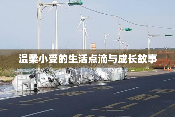 温柔小受的生活点滴与成长故事