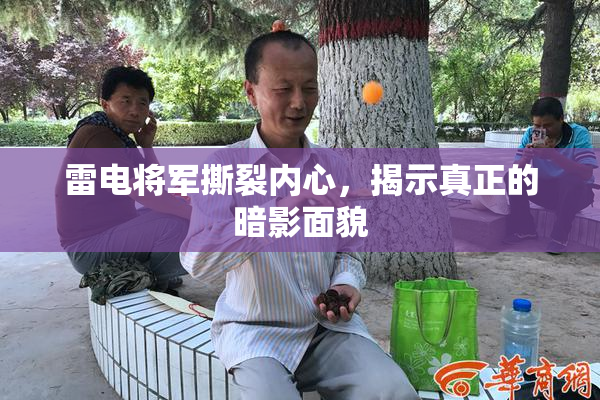 雷电将军撕裂内心，揭示真正的暗影面貌