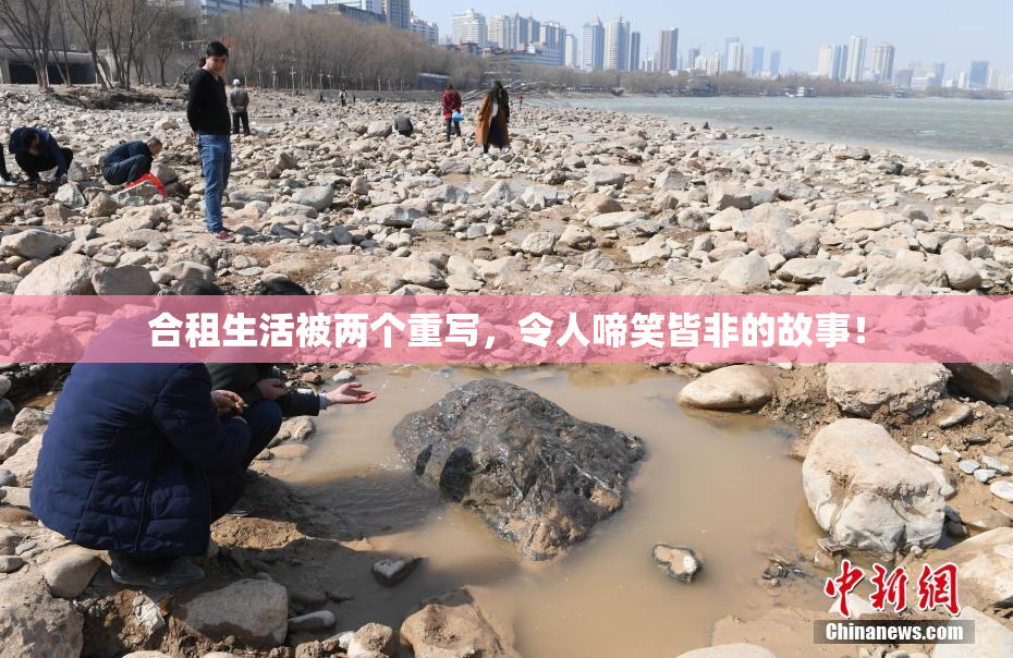 合租生活被两个重写，令人啼笑皆非的故事！
