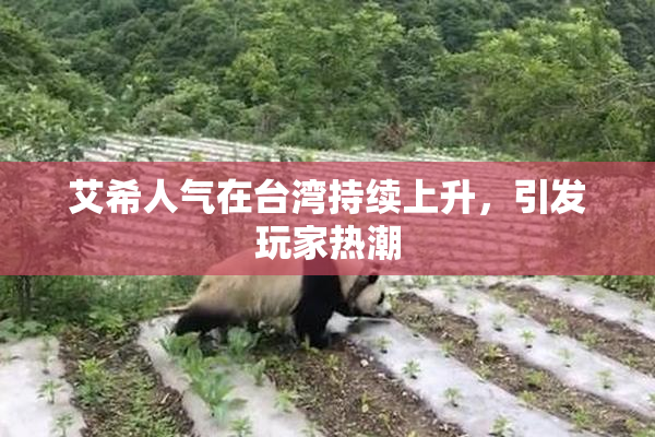 艾希人气在台湾持续上升，引发玩家热潮