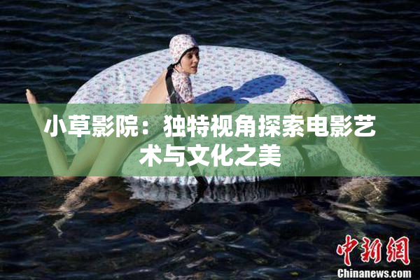 小草影院：独特视角探索电影艺术与文化之美