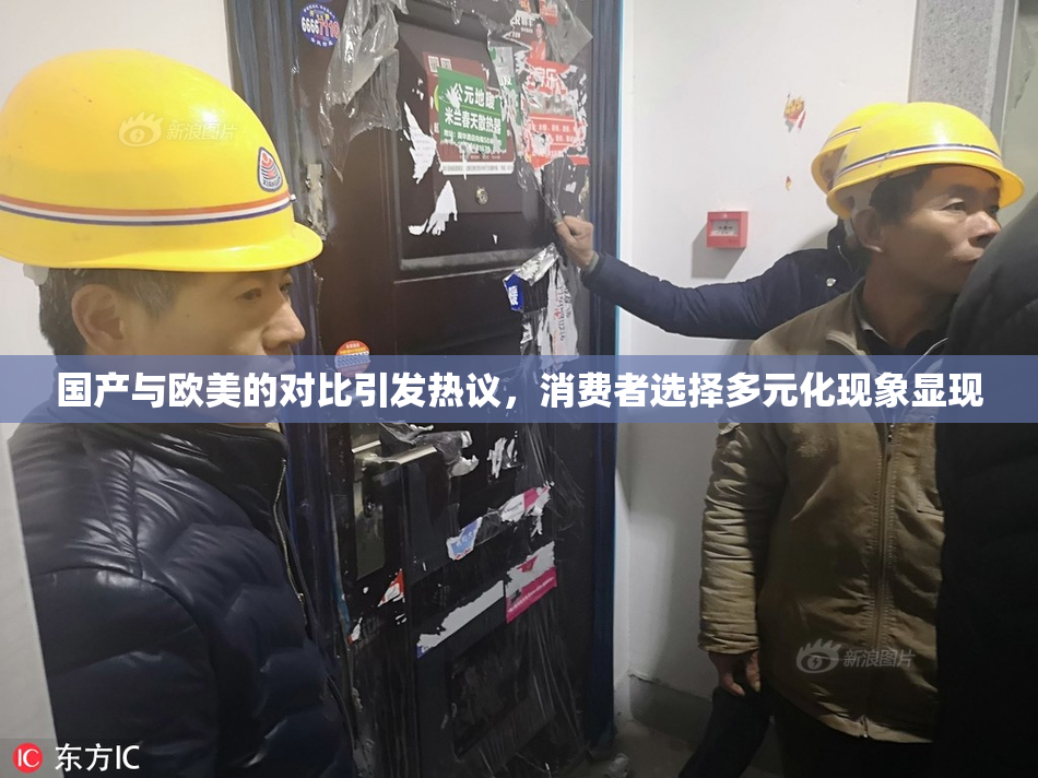 国产与欧美的对比引发热议，消费者选择多元化现象显现