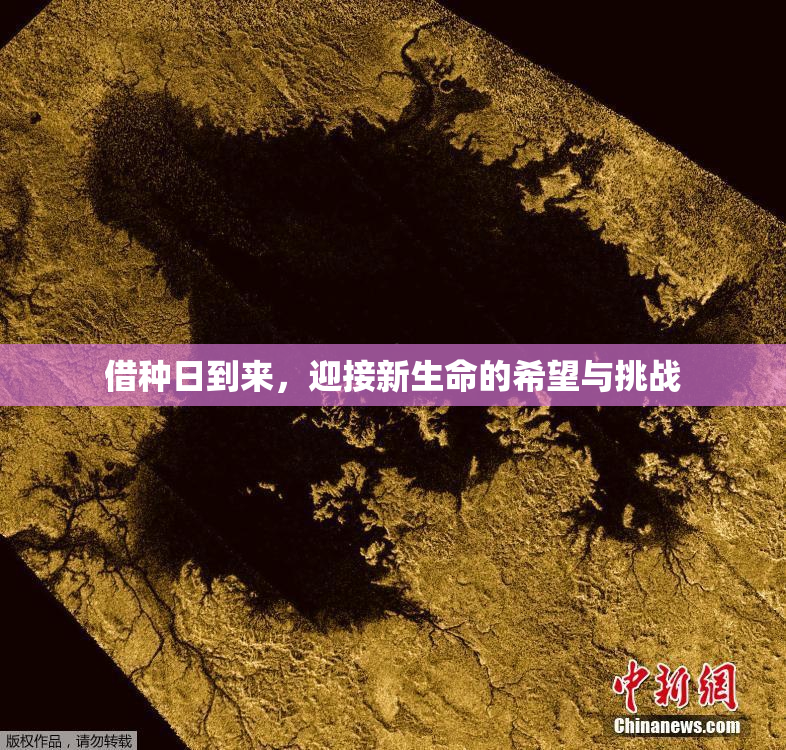 借种日到来，迎接新生命的希望与挑战