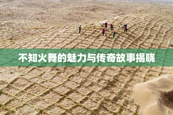 不知火舞的魅力与传奇故事揭晓