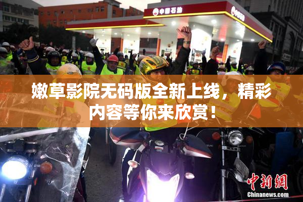 嫩草影院无码版全新上线，精彩内容等你来欣赏！