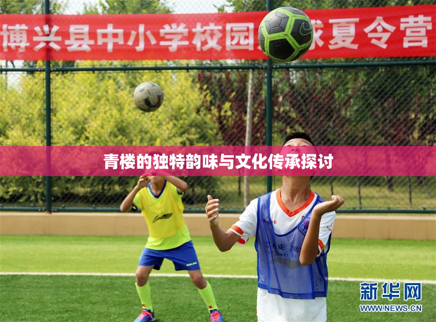 青楼的独特韵味与文化传承探讨